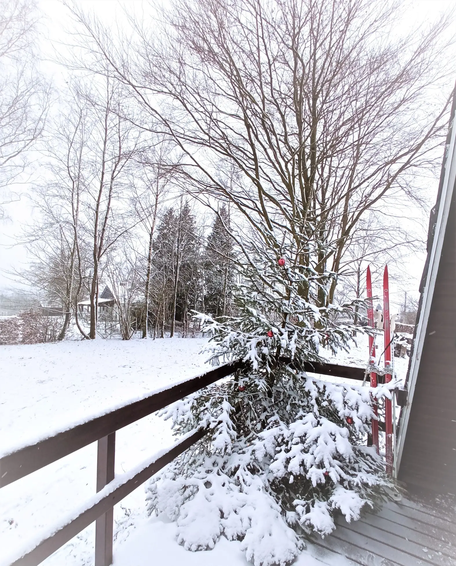 Cottage for 5 people in La Roche-en-Ardenne Le Chalet Pointu du Bout du Monde